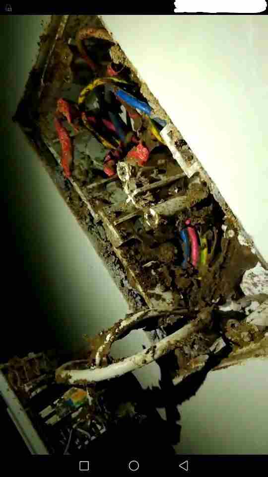 白蚁防治
